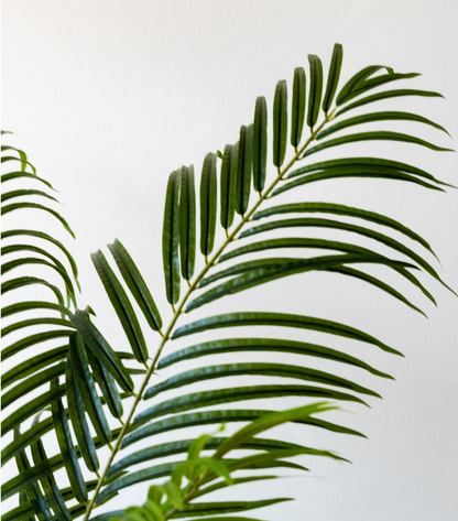 Plante artificielle - Palmier Areca 120cm
