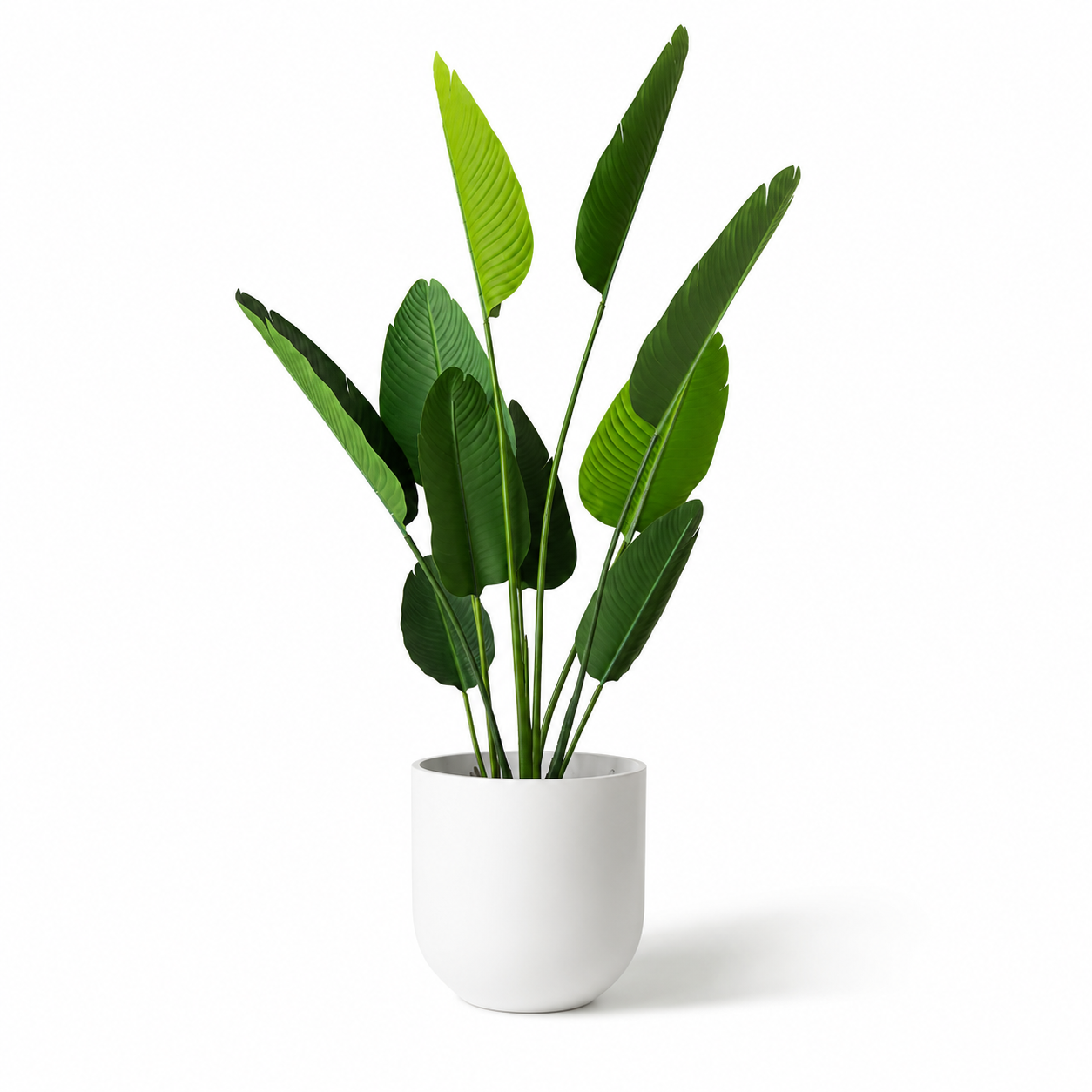 Plante artificielle - Strelitzia 80 cm