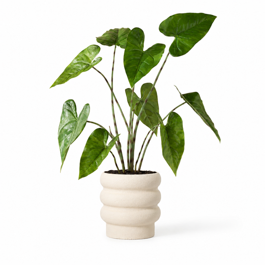 Plante artificielle - Alocasia zebrina 75 cm