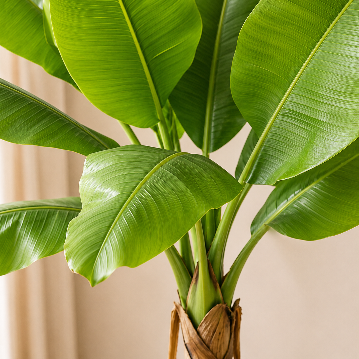 Plante artificielle - Bananier 100cm