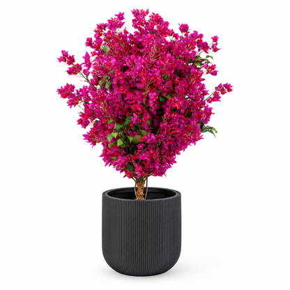 Plante artificielle - Bougainvillier rose 150 cm