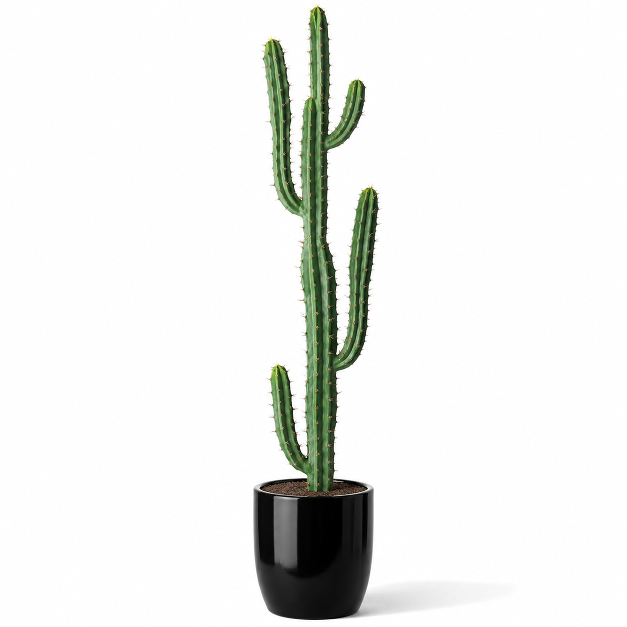 Plante artificielle - Cactus 160cm
