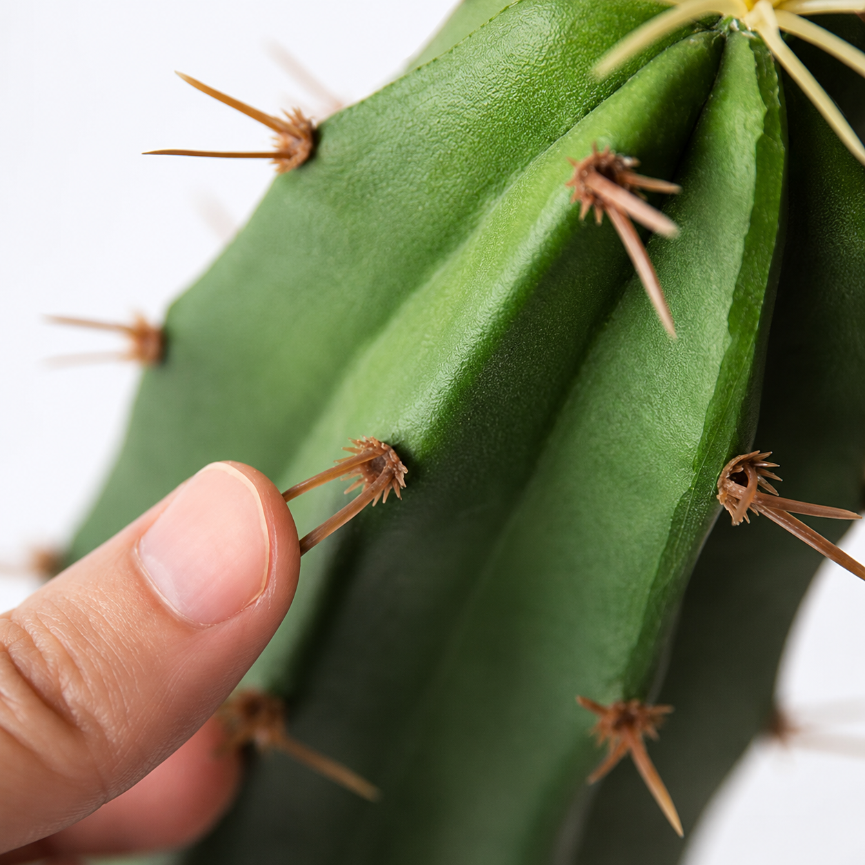 Plante artificielle - Cactus 80cm