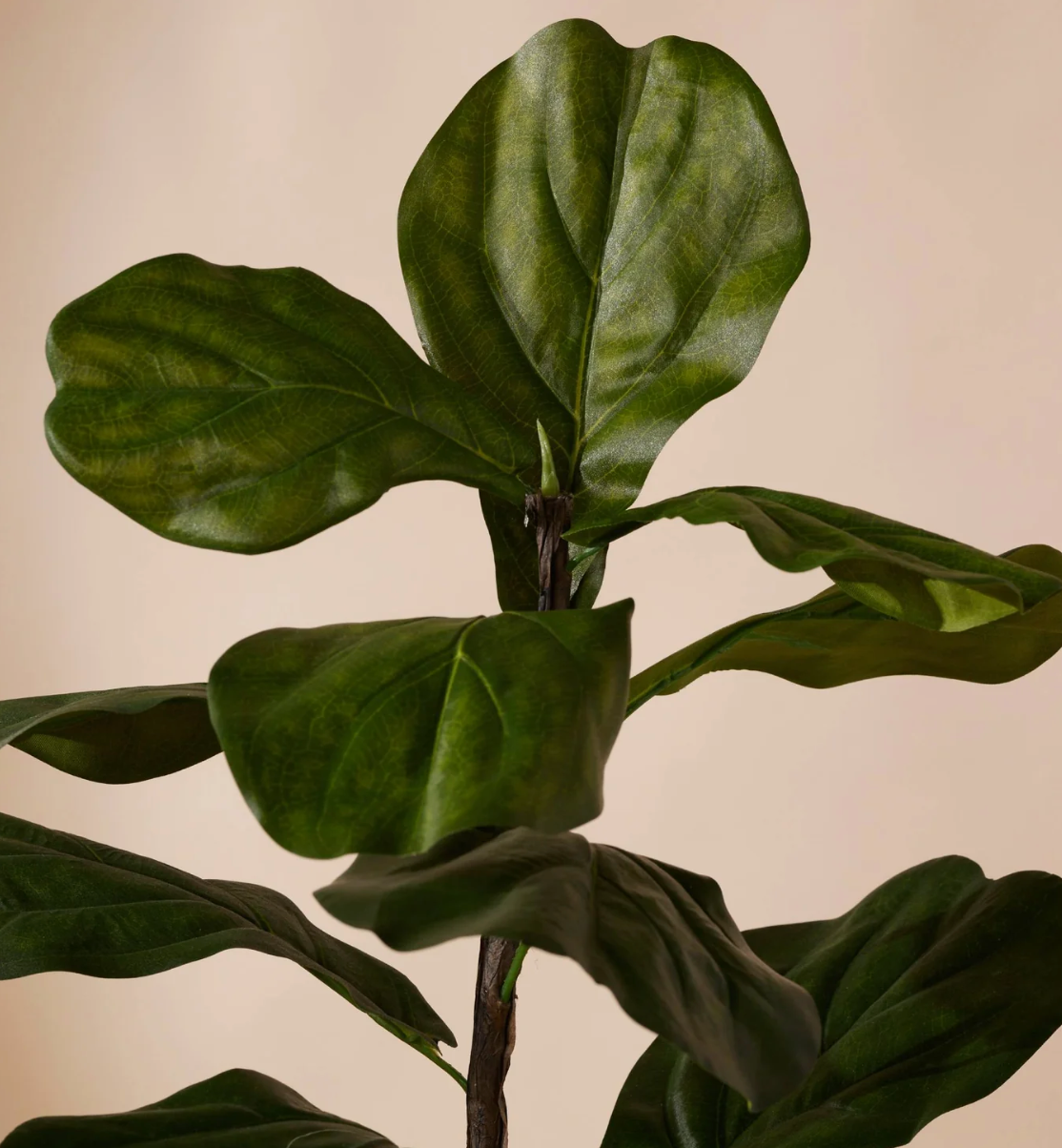 Plante artificielle - Ficus lyrata 120cm