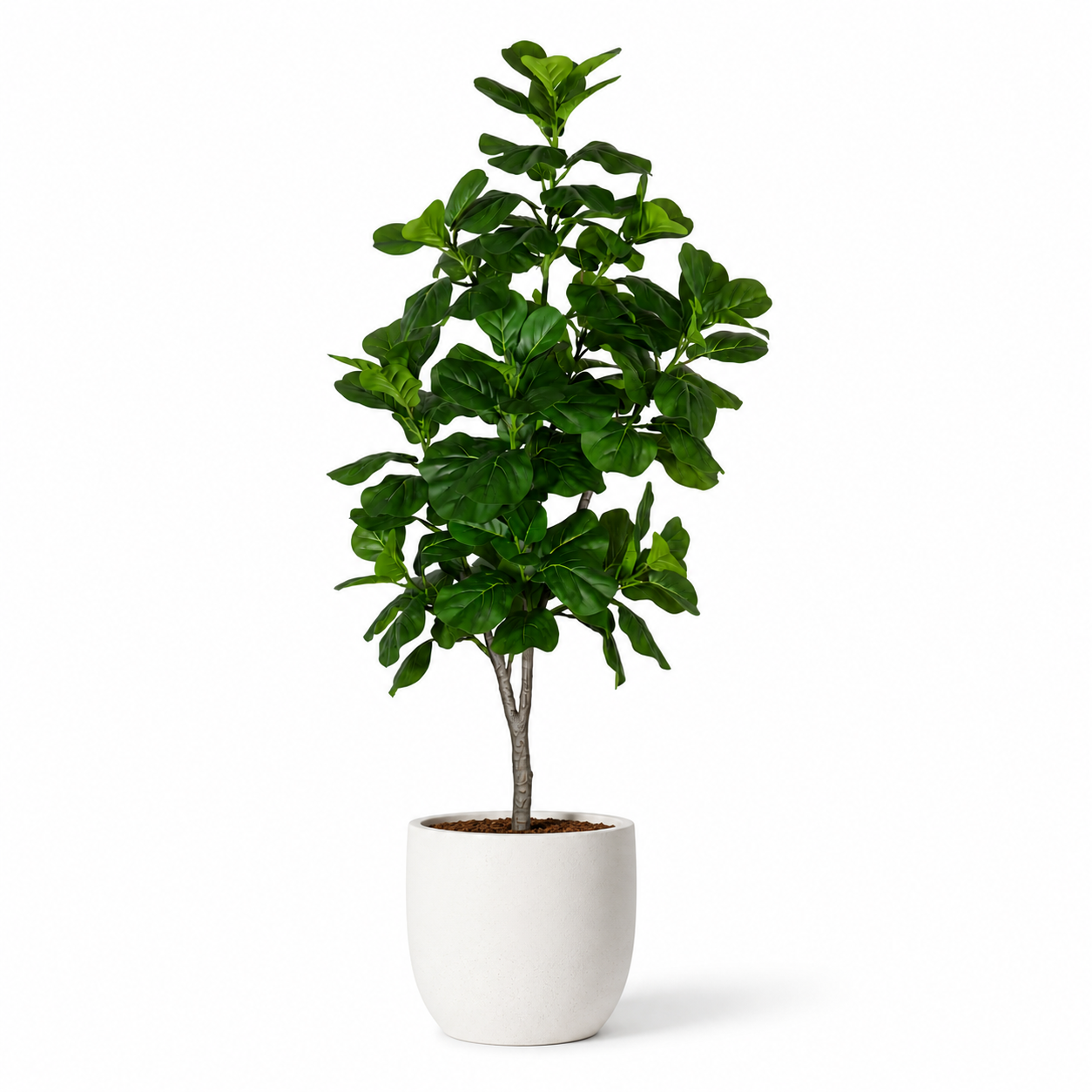 Plante artificielle - Ficus lyrata 180cm