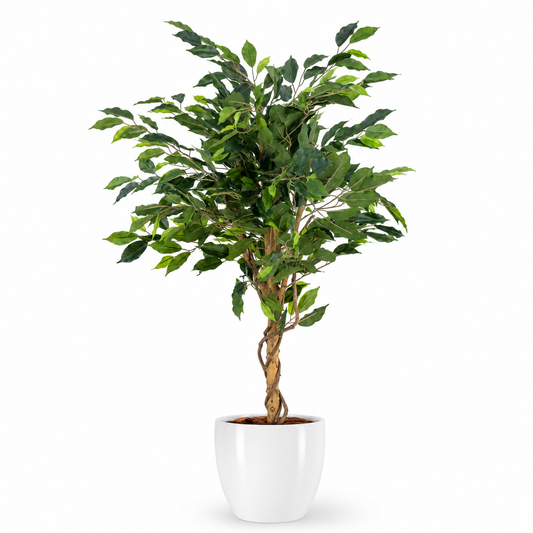 Plante artificielle - Ficus Green 120 cm