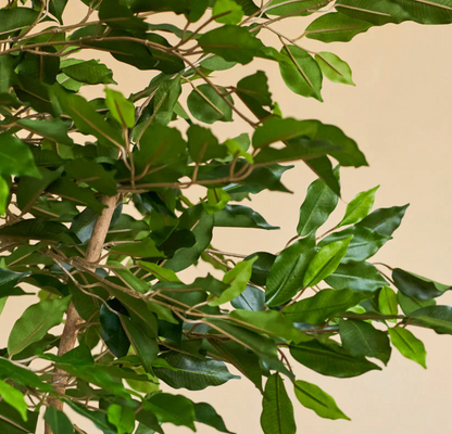 Plante artificielle - Ficus Green 120 cm