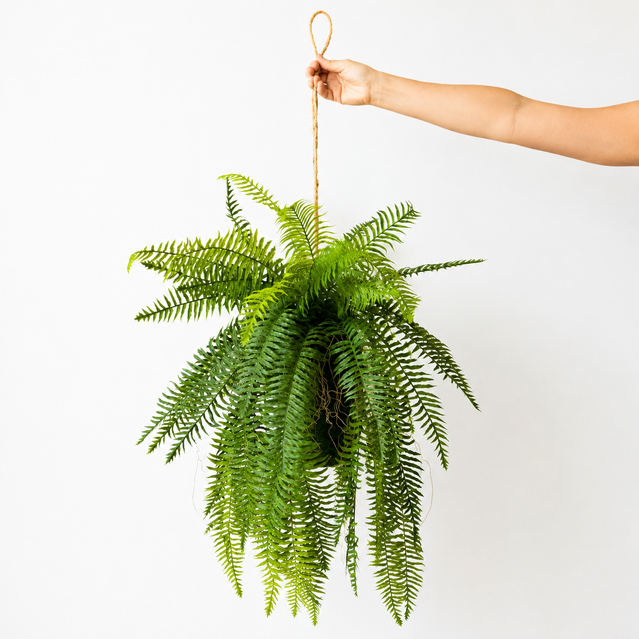 Plante artificielle - Fougère