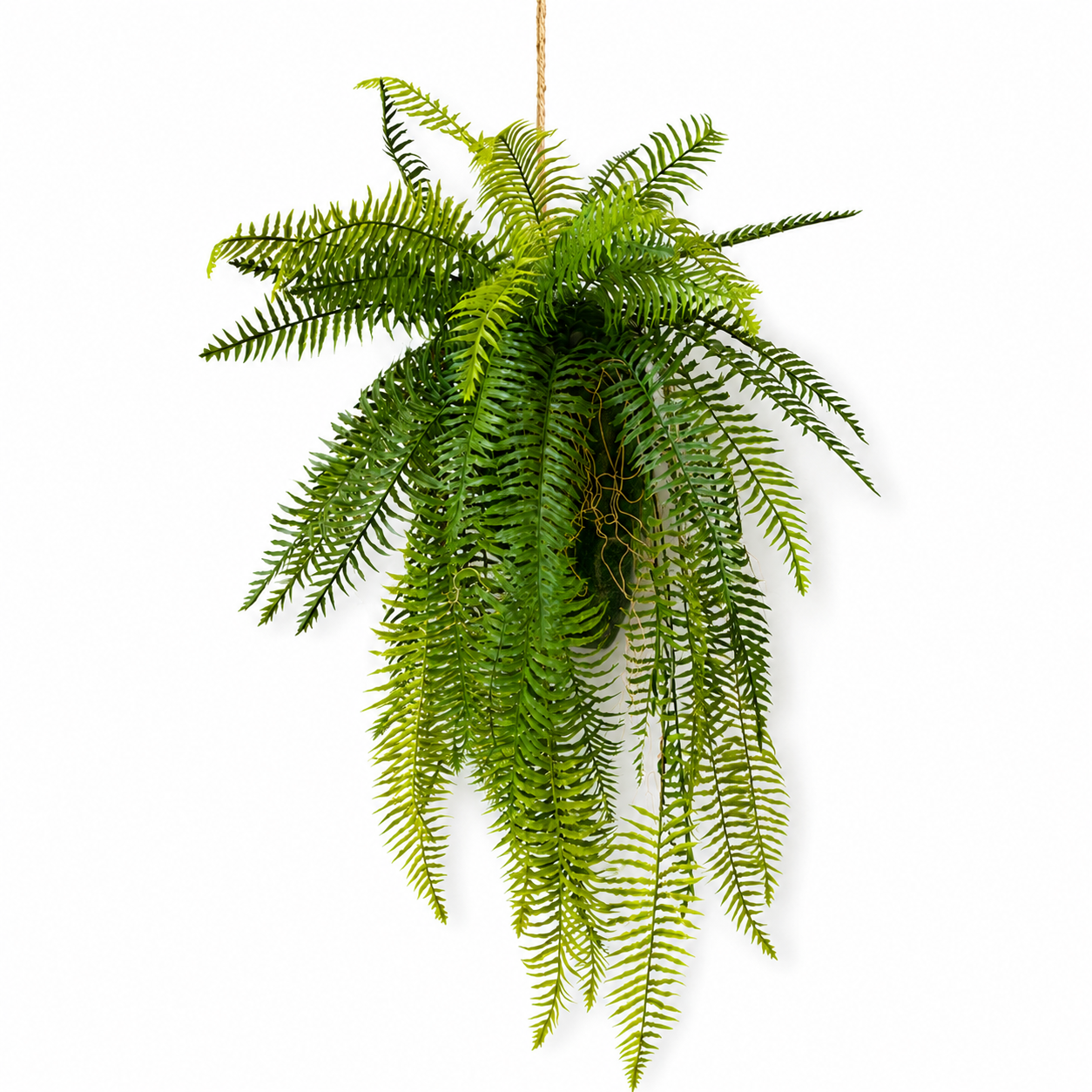 Plante artificielle - Fougère