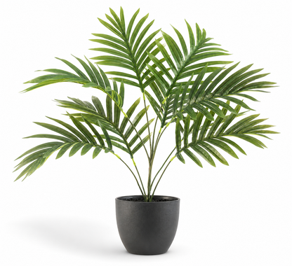 Plante artificielle - Palmier Phoenix 50 cm