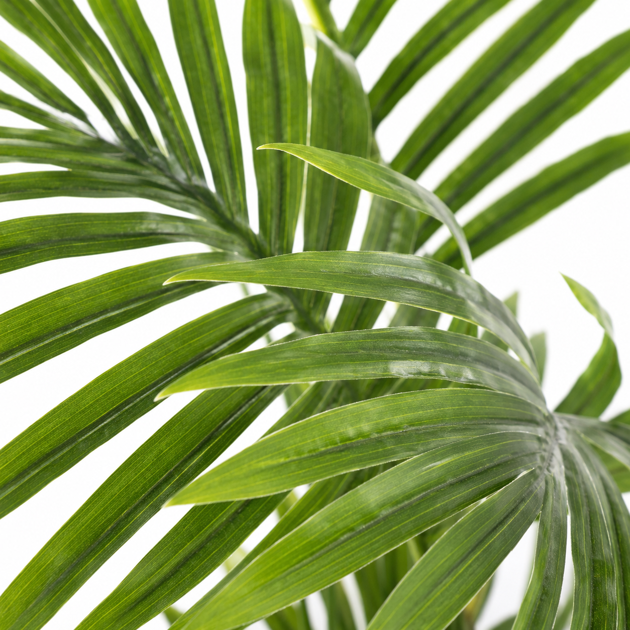 Plante artificielle - Palmier Phoenix 50 cm