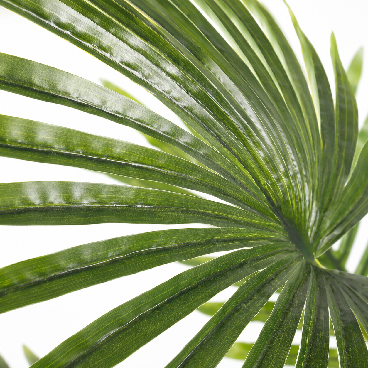 Plante artificielle - Palmier Phoenix 86cm